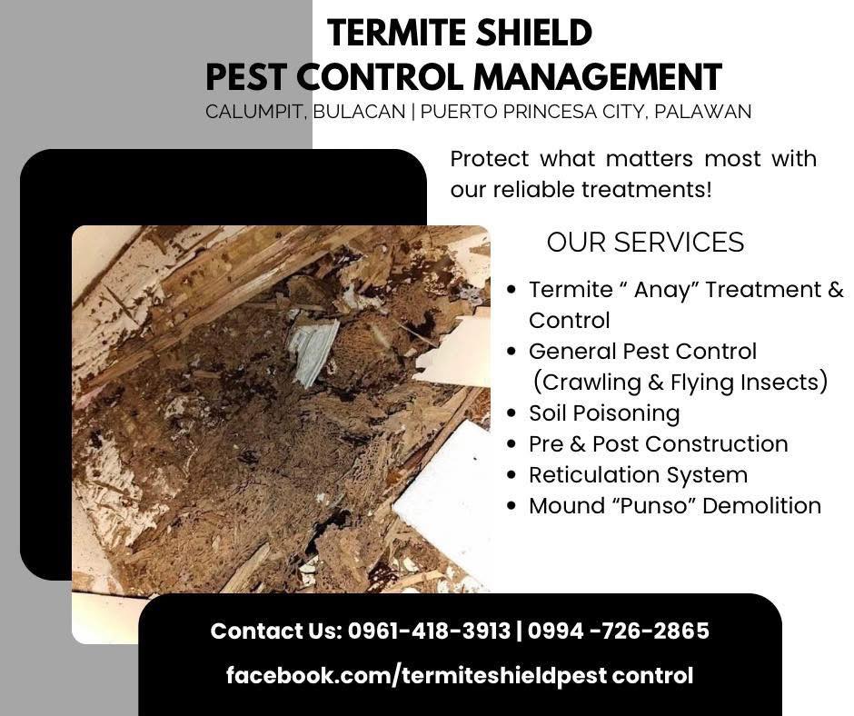 Brgy. 178 Camarin Caloocan City | Pest Control Service Price starts at ...