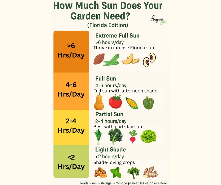 Homegrown - One of the biggest mistakes Florida gardeners make is ...