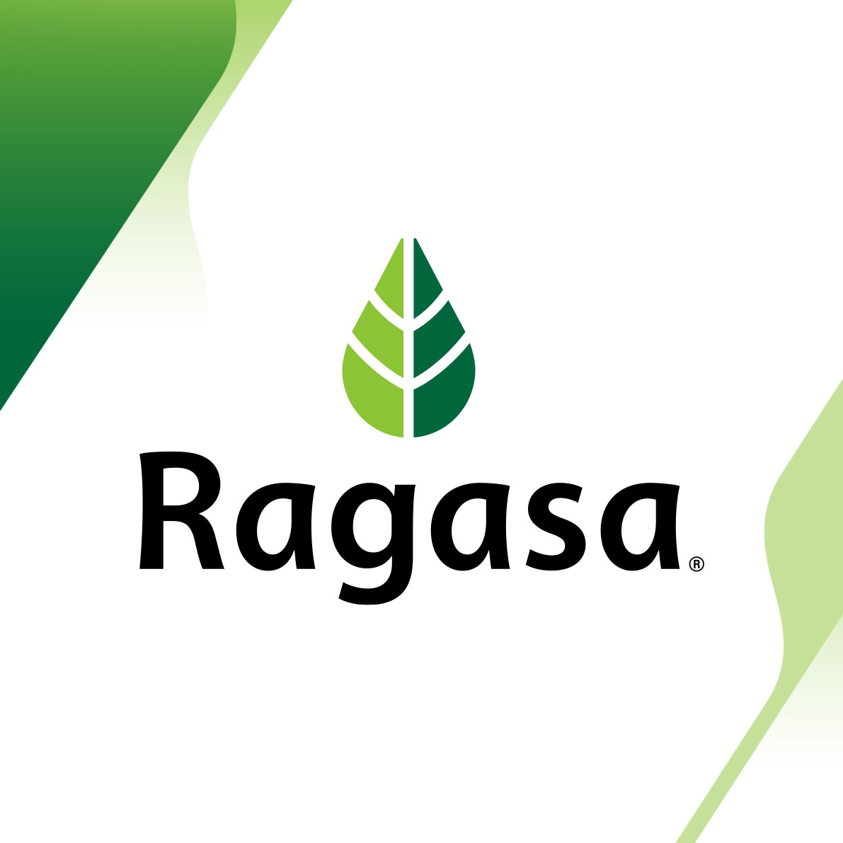 Ragasa - ¡ SEGUIMOS CONTRATANDO ! CONTRATO DE PLANTA DESDE EL PRIMER ...