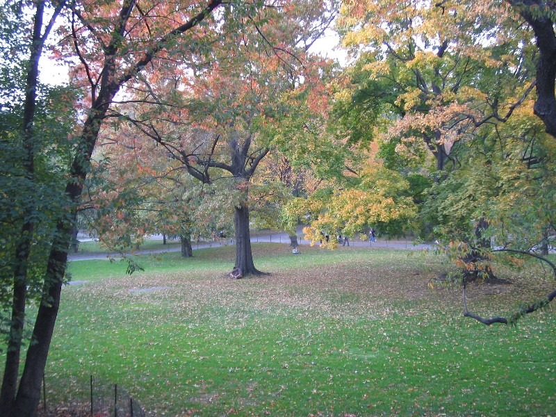Upper West Side Rag