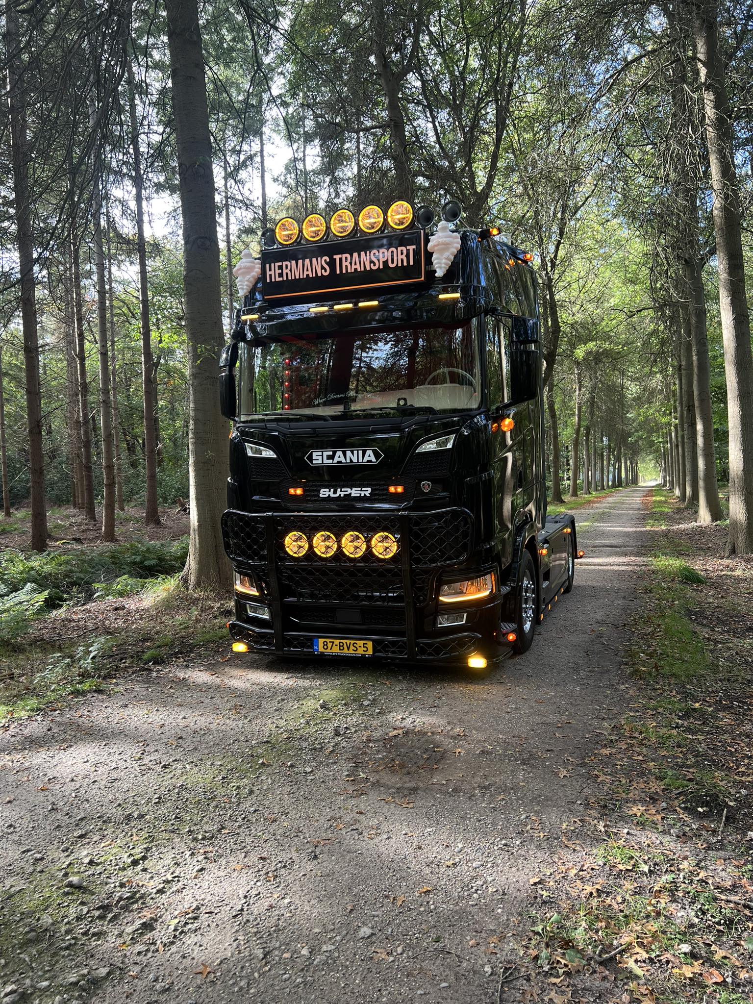 hermans-transport-expeditie-b-v-steenbergen