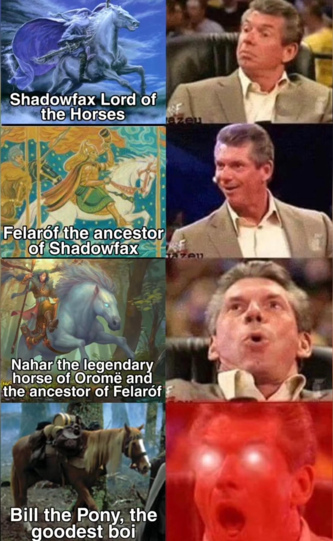 Shadowfax Lord ShadowfaxLordof of the Horses Felaróf laróftheancestor ...