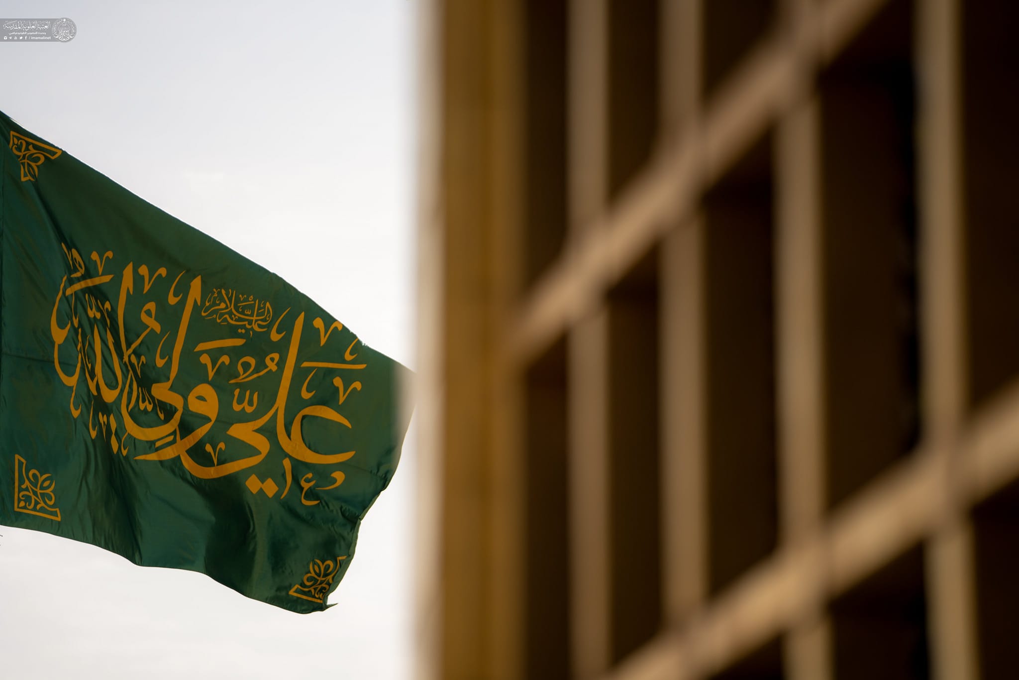 شيعة أمير المؤمنين وسيد الوصيين علي بن أبي طالب 