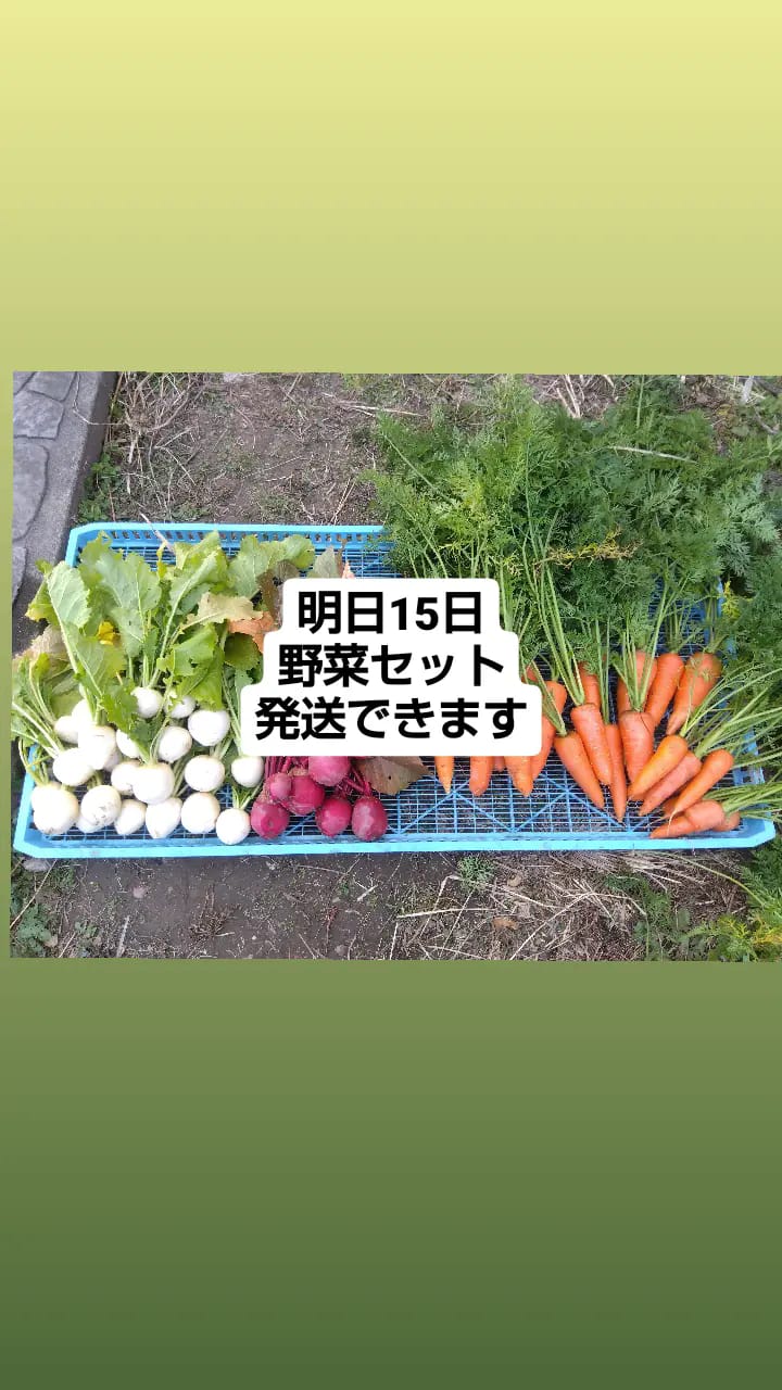 彩り農園 - よもぎの話。以前から畑にヨモギ（写真左）とヨモギに似た