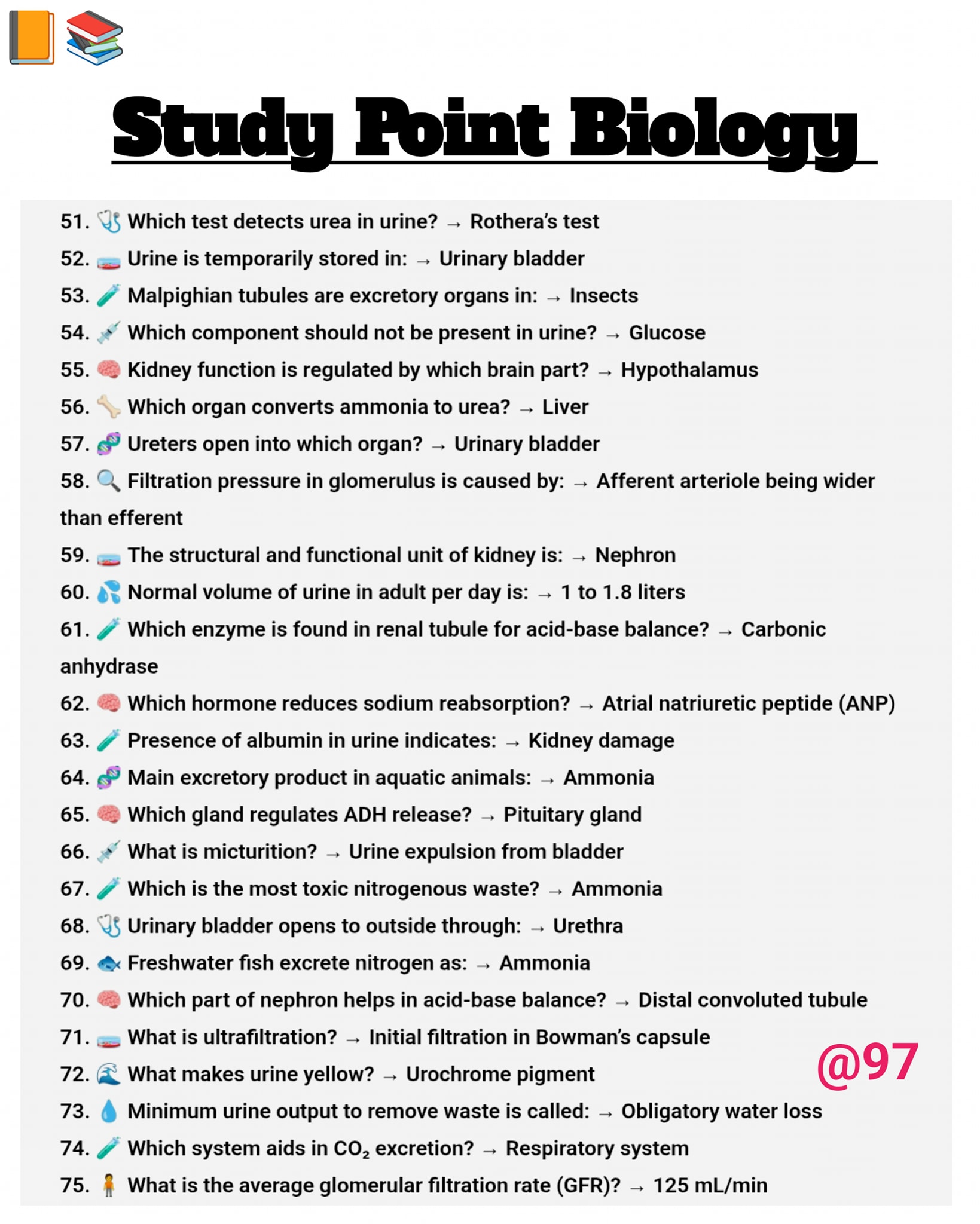 Human Anatomy Group | Study Point Biology 🏓 | Facebook