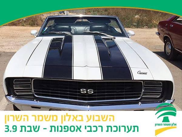 Chevrolet Camaro - Israel