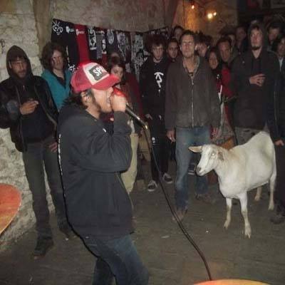 Cypher - here's our goat legged friend moments earlier | Facebook