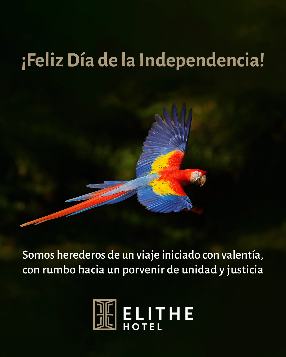 Elithe - Hoy conmemoramos este 15 de Septiembre con gratitud y orgullo ...