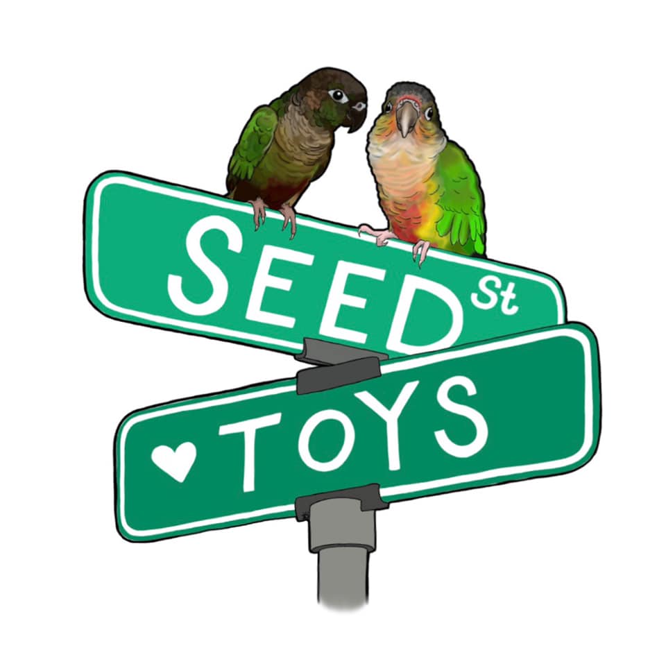 WE ARE SO EXCITED TO UNVEIL OUR NEW... - Seed Street Toys
