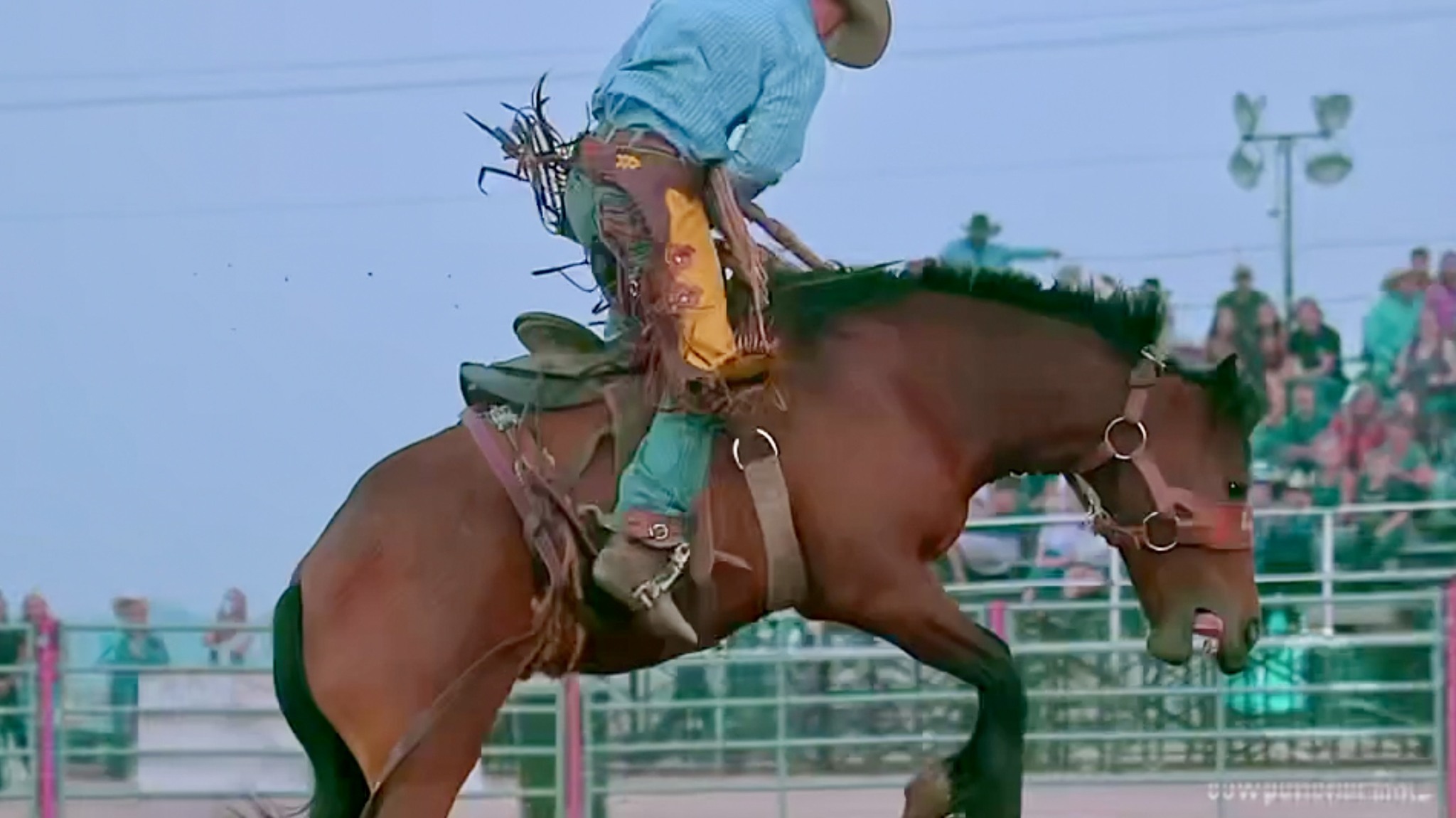 🤠🐂 YEEHAW, IT’S RODEO TIME AGAIN! 🐂🤠... - Kuna Stampede Rodeo | Facebook