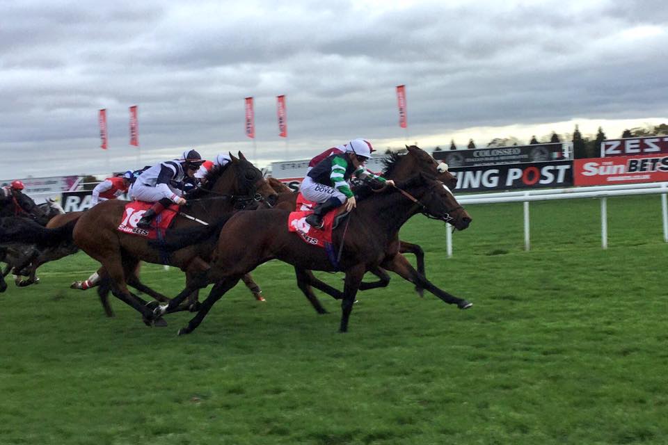 Doyle Racing | Greystones