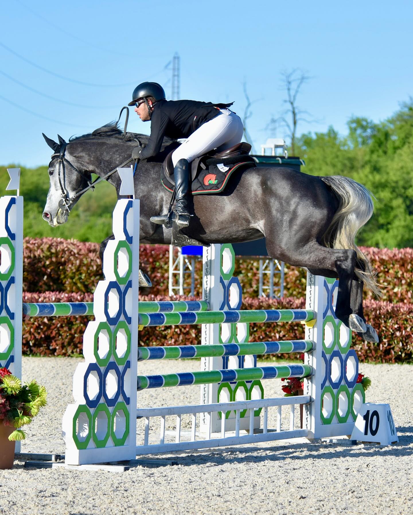 Equus Academy