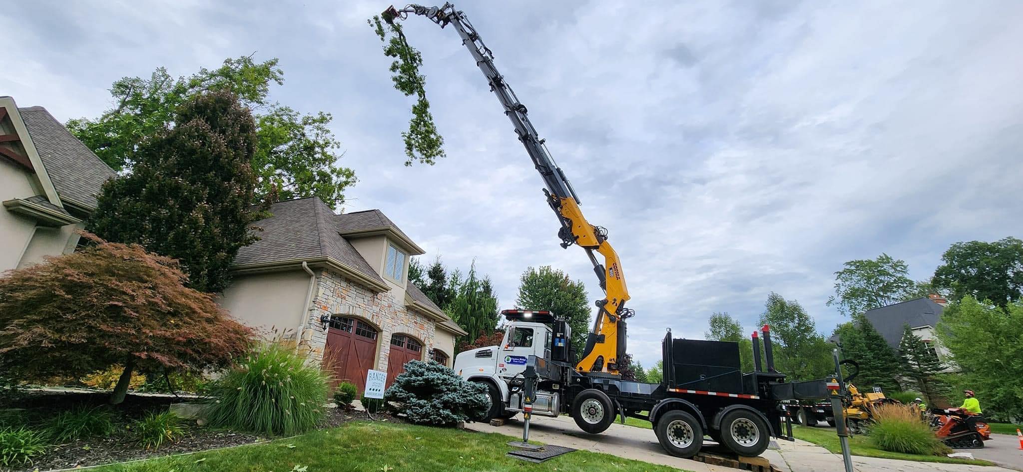 Timber Ridge Tree Care | Comstock Park MI