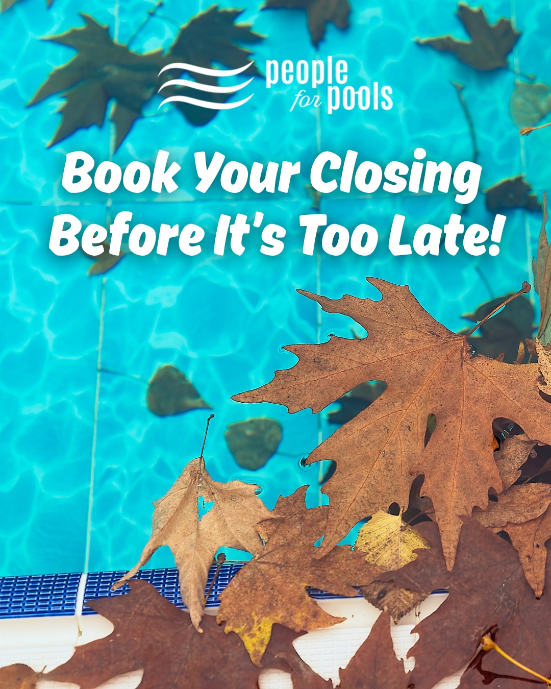 People - 🍂 FALL POOL CLOSING SEASON IS HERE! 🚨 Don't wait until the ...