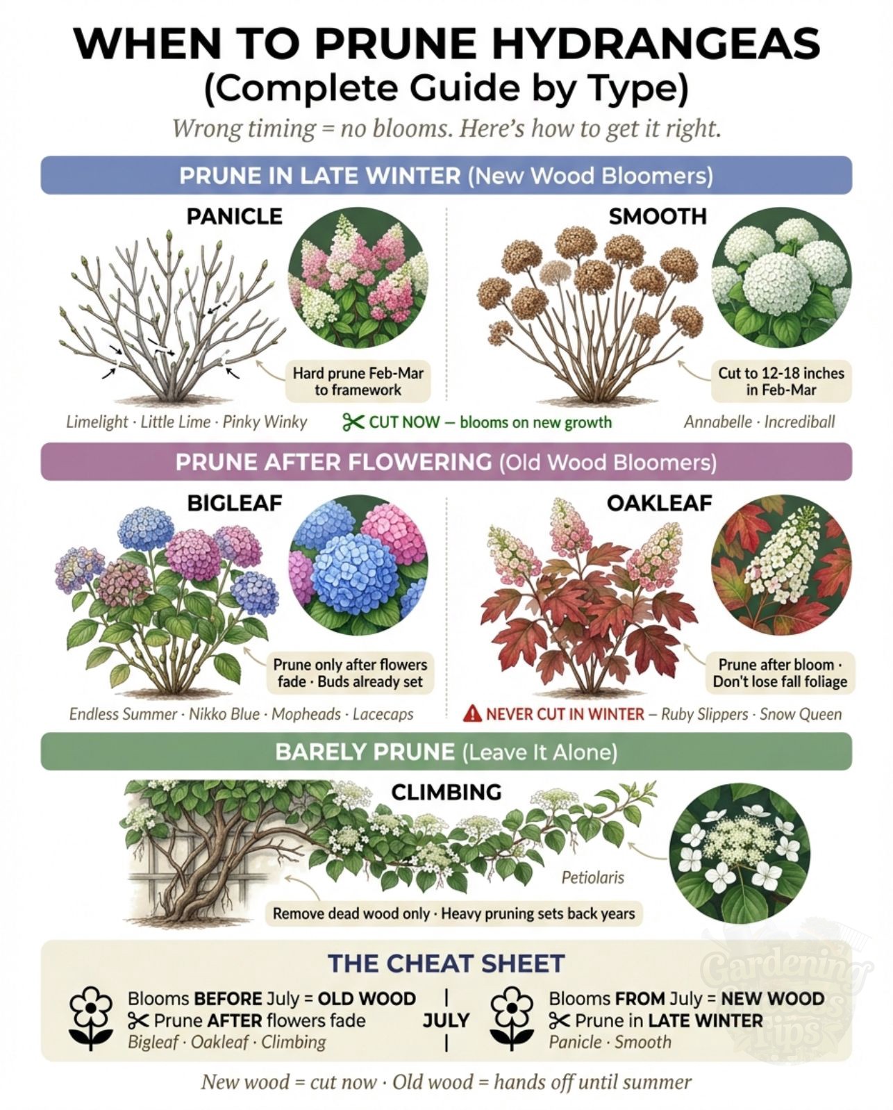 Gardening - 🌸 ️ The #1 reason hydrangeas don't bloom is pruning at the ...