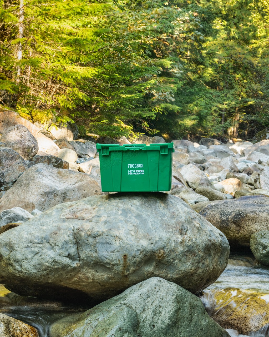 FROGBOX