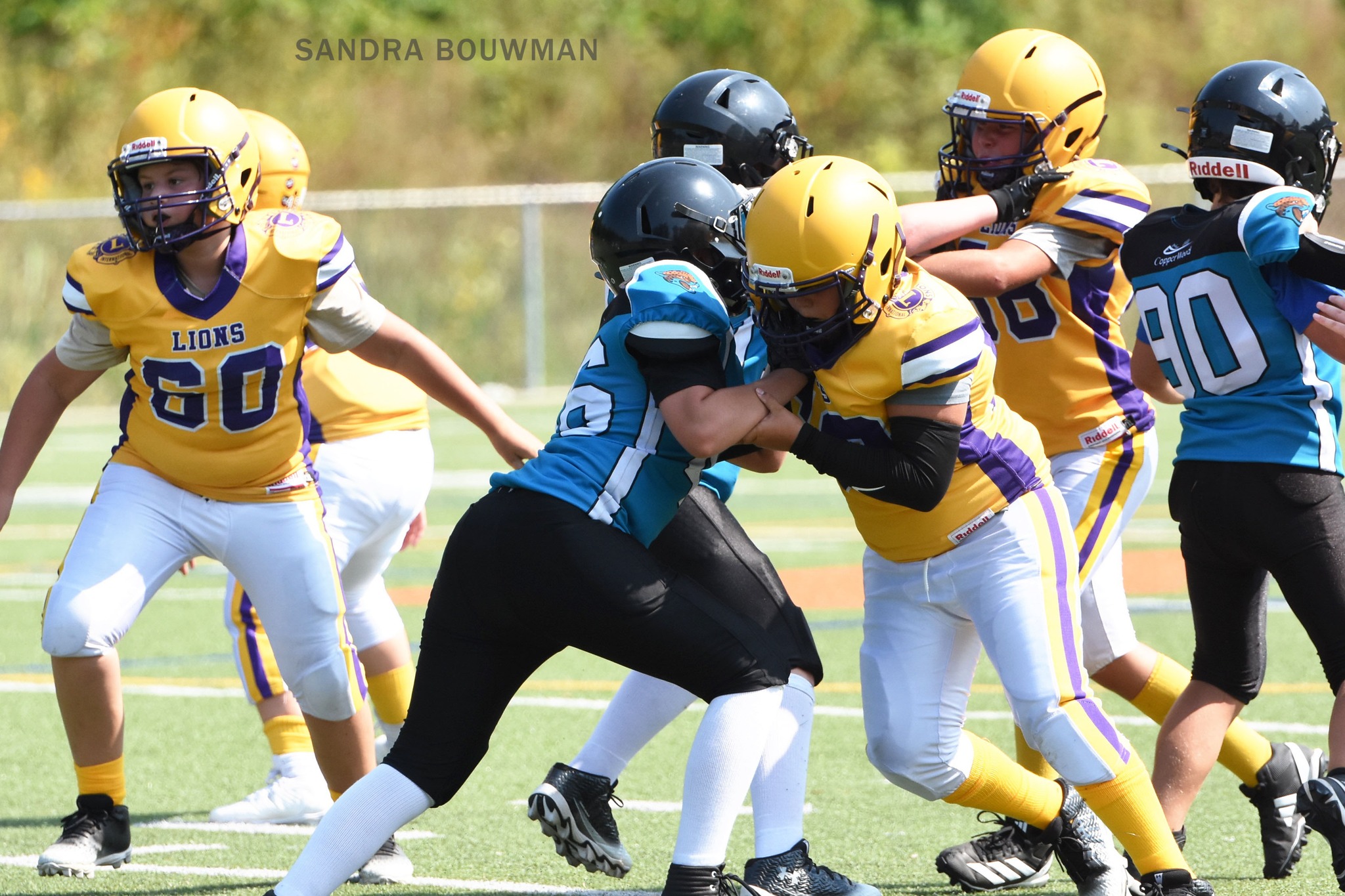 Football Mineur de Buckingham - Lions