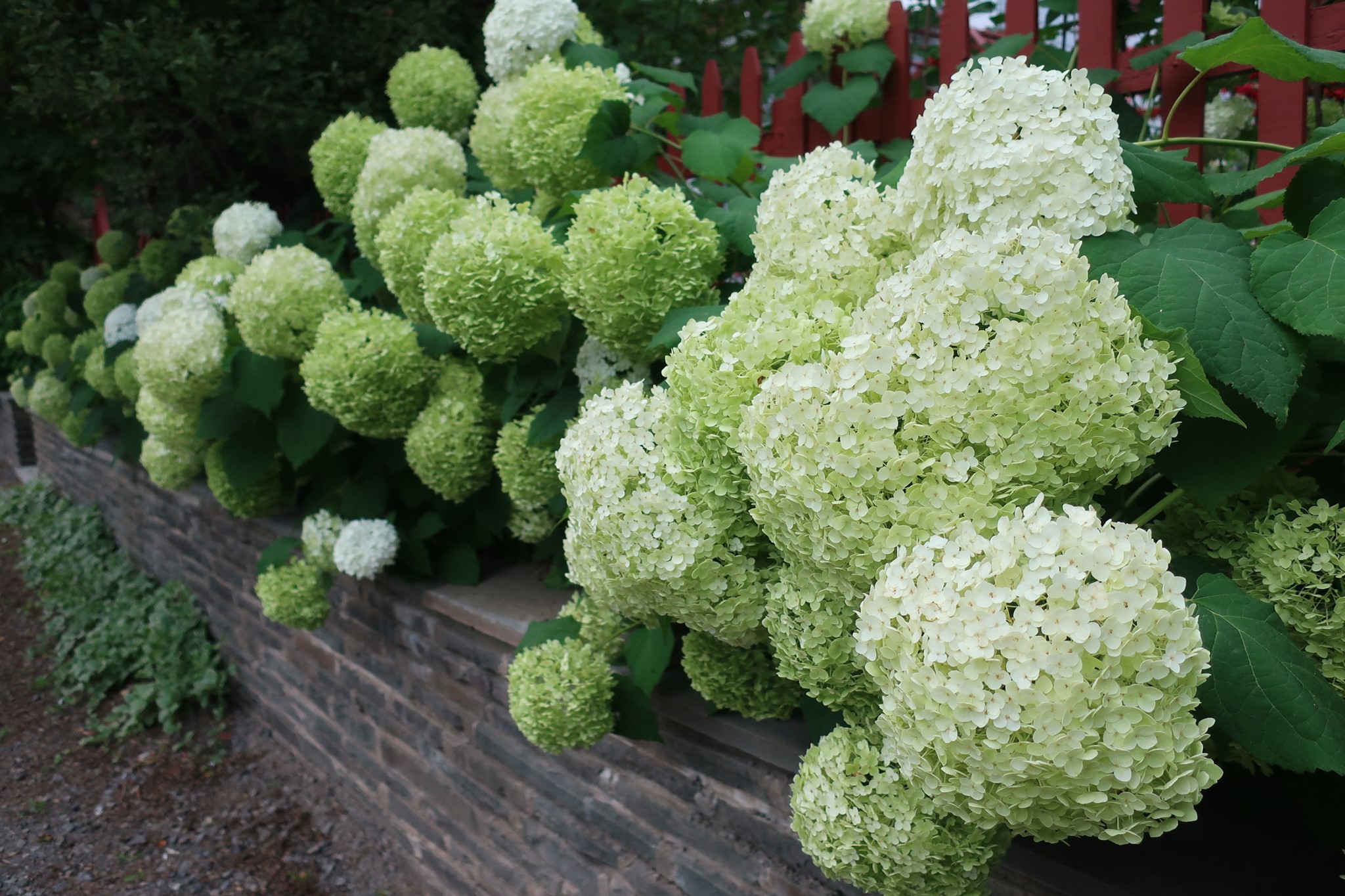 Bloom Fine Gardening
