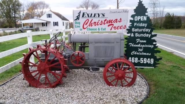 Exley's Christmas Tree Farm... - Exley's Christmas Tree Farm
