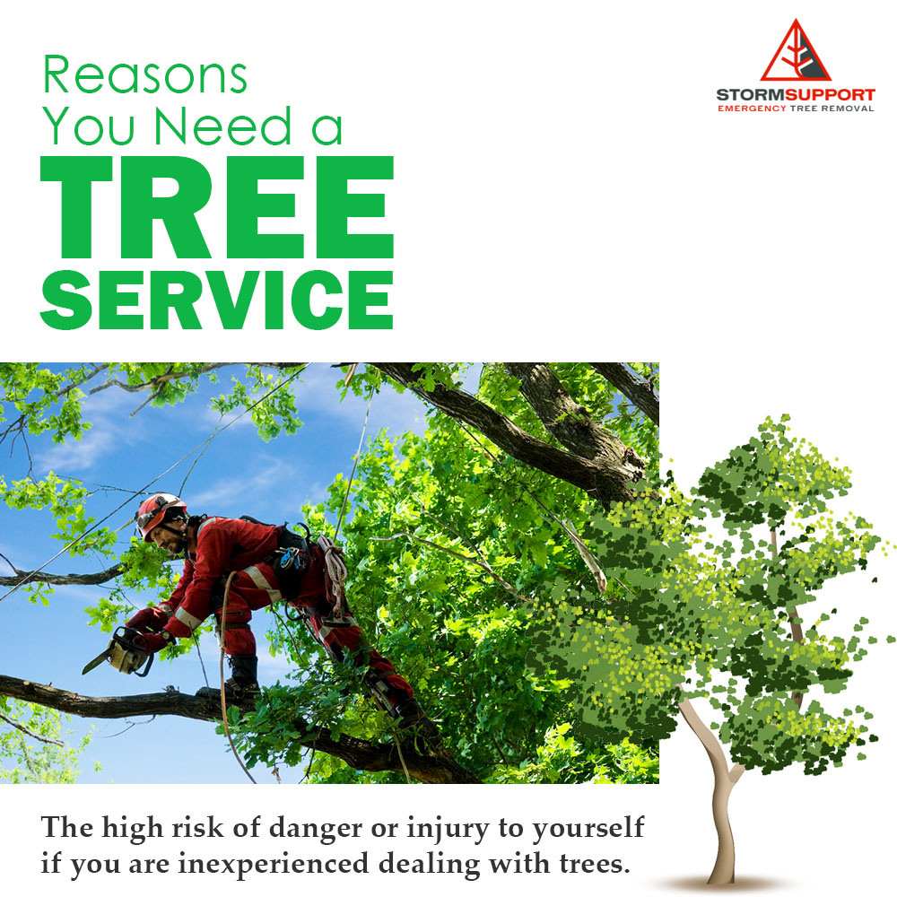 Storm Support Emergency Tree Removal LLC | Rockford MI