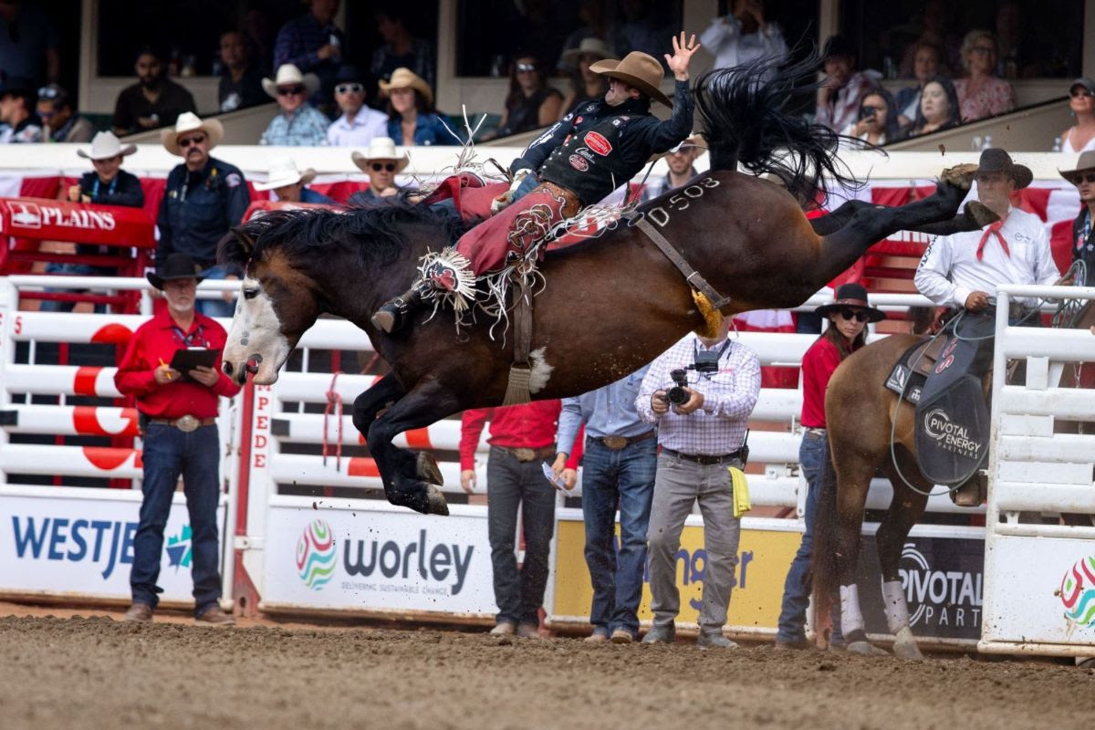 Calgary Stampede Rodeo | Calgary AB