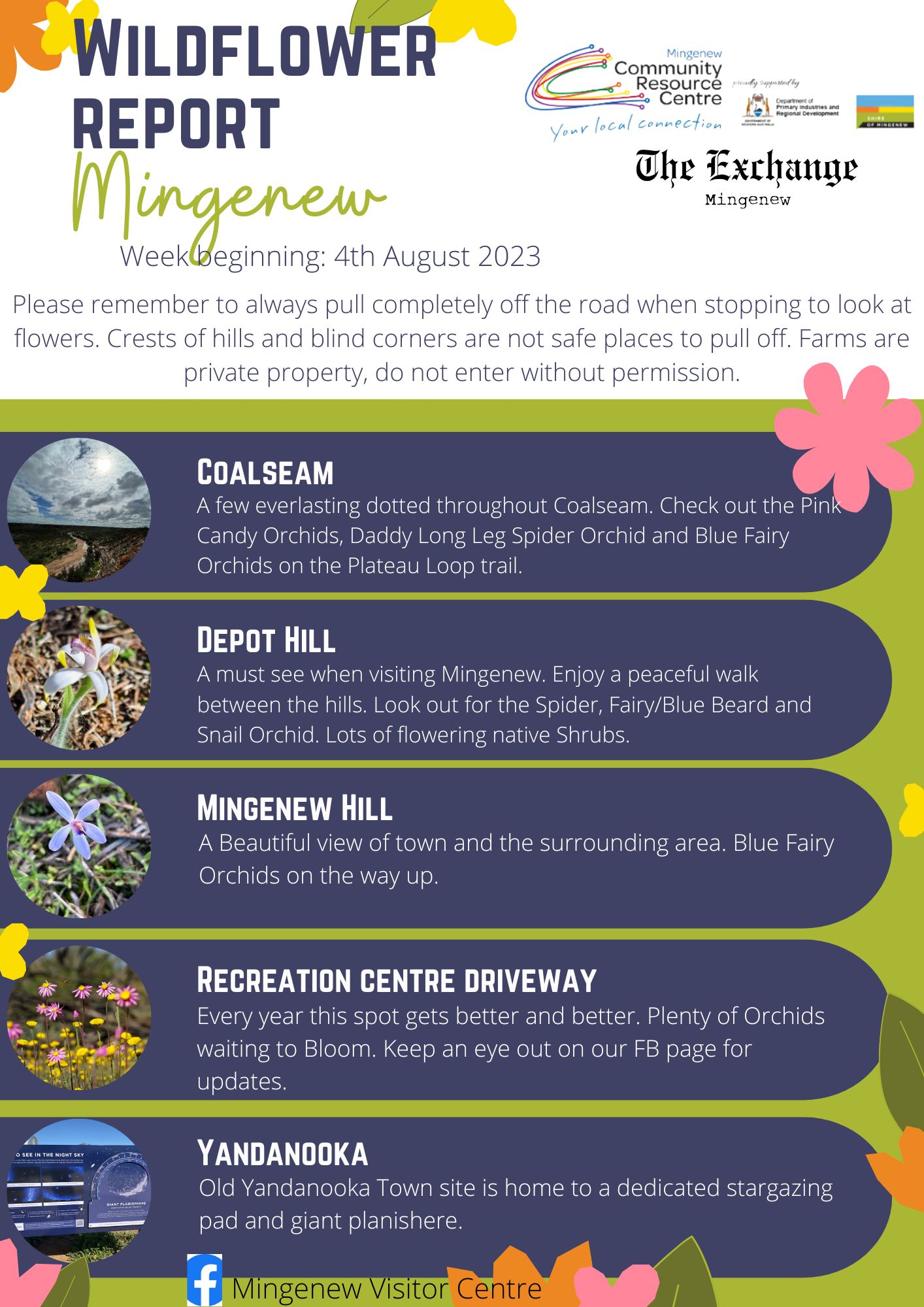 Mingenew - 🌸Our first Wildflower report for 2023. 🌸 # ...