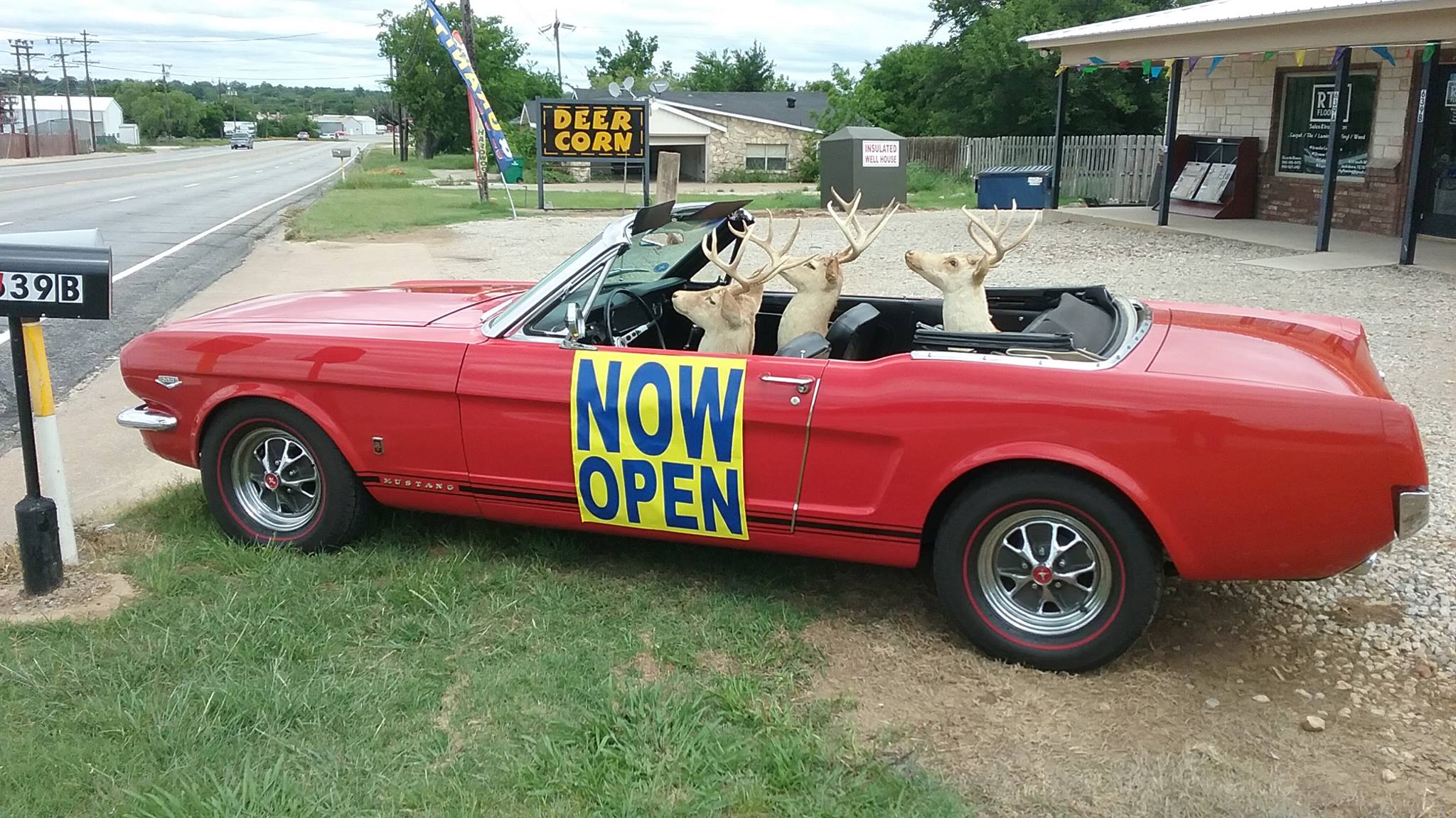 Bucks & Hot Rods Liquor Wine Beer | Jacksboro TX