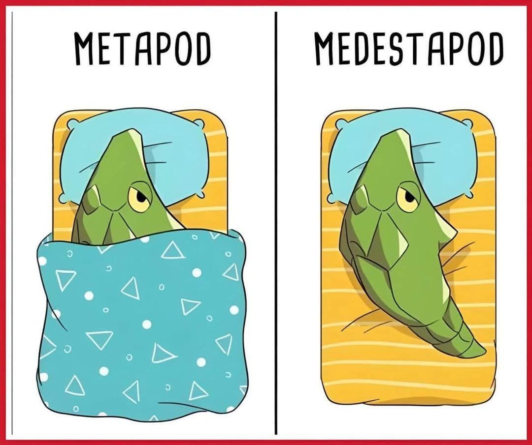 Pokémon GO México | Mi mejor meme es este | Facebook