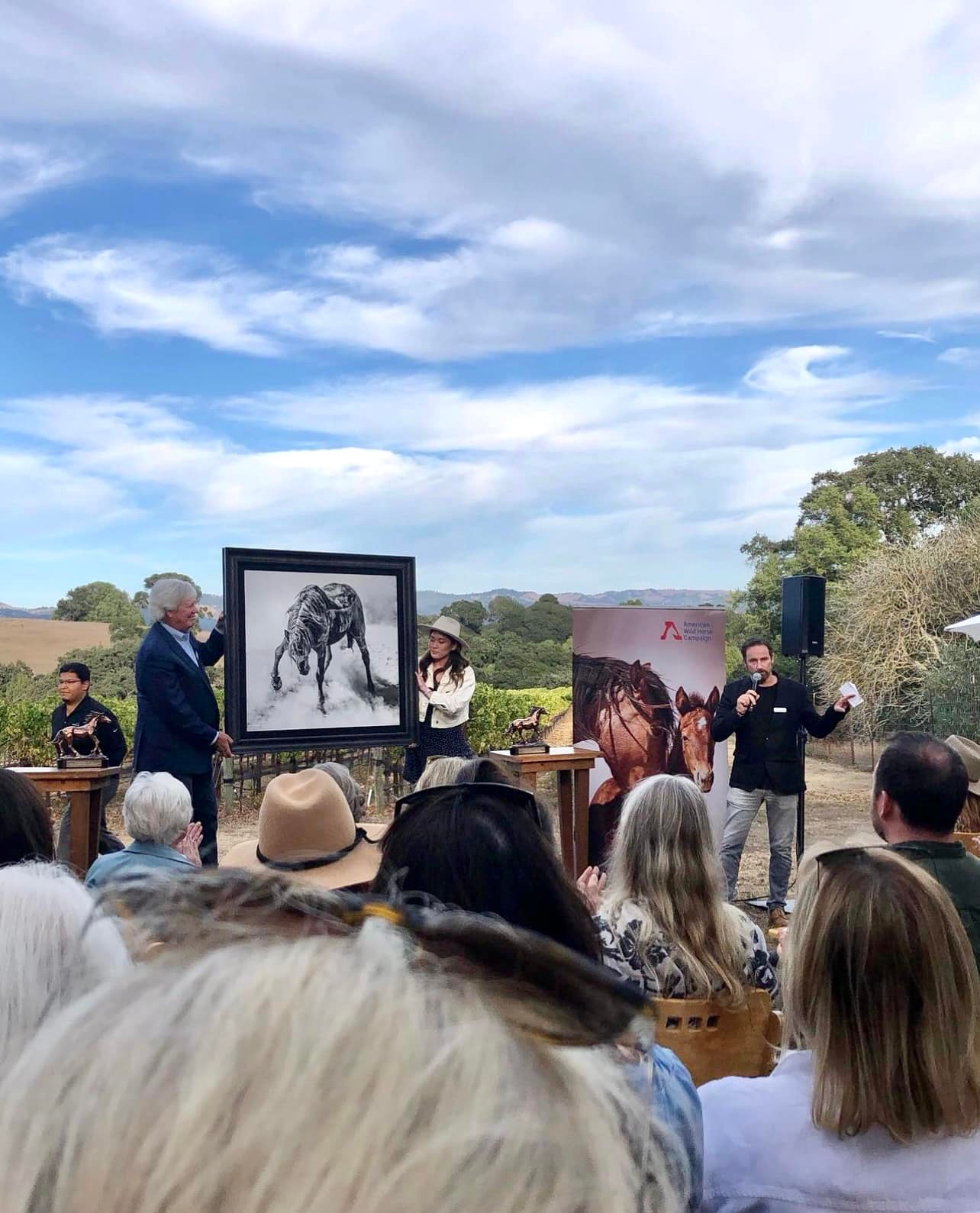Scott Wilson - American Wild Horse Campaign wild horse... | Facebook