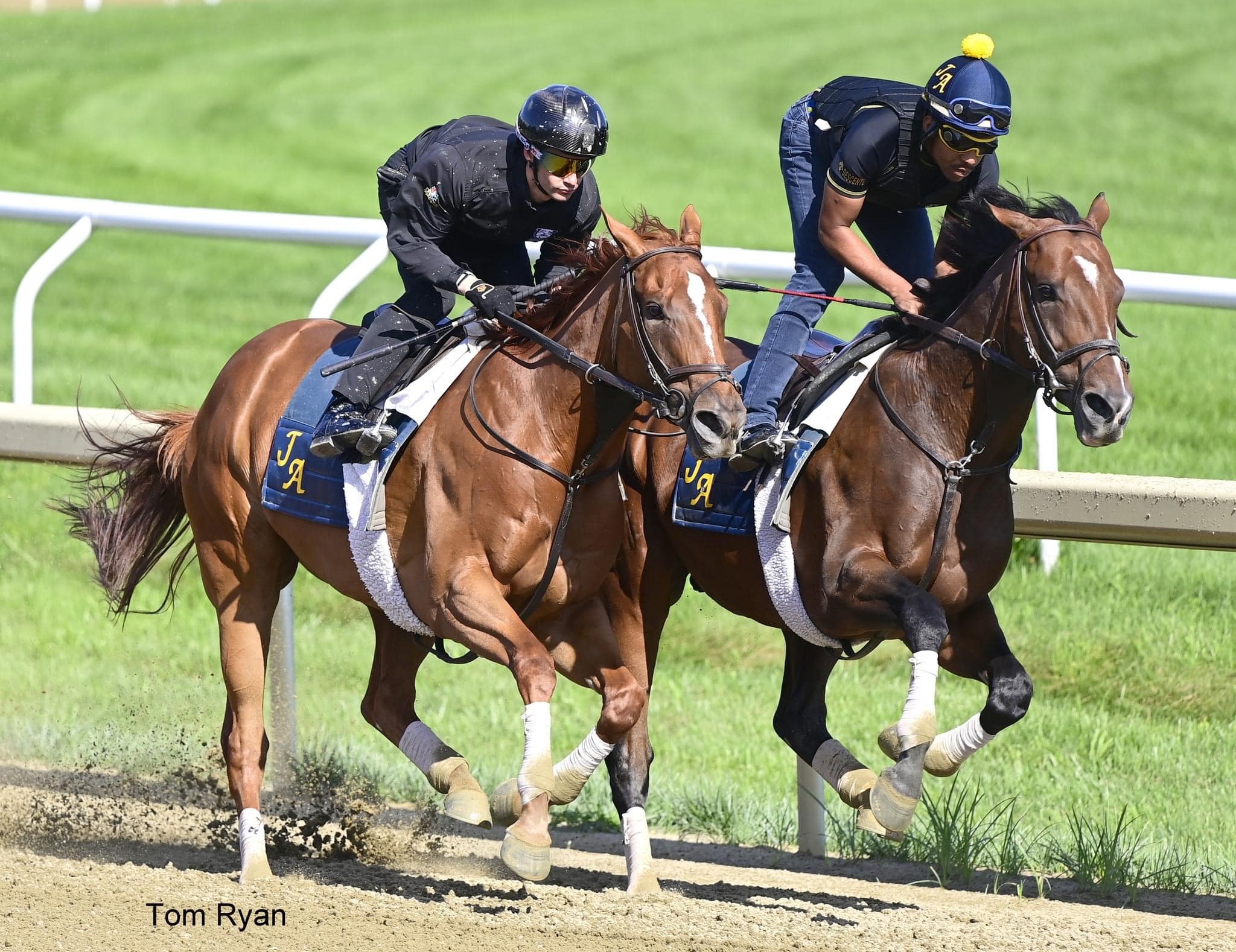 JA Racing Stable | Saratoga Springs NY