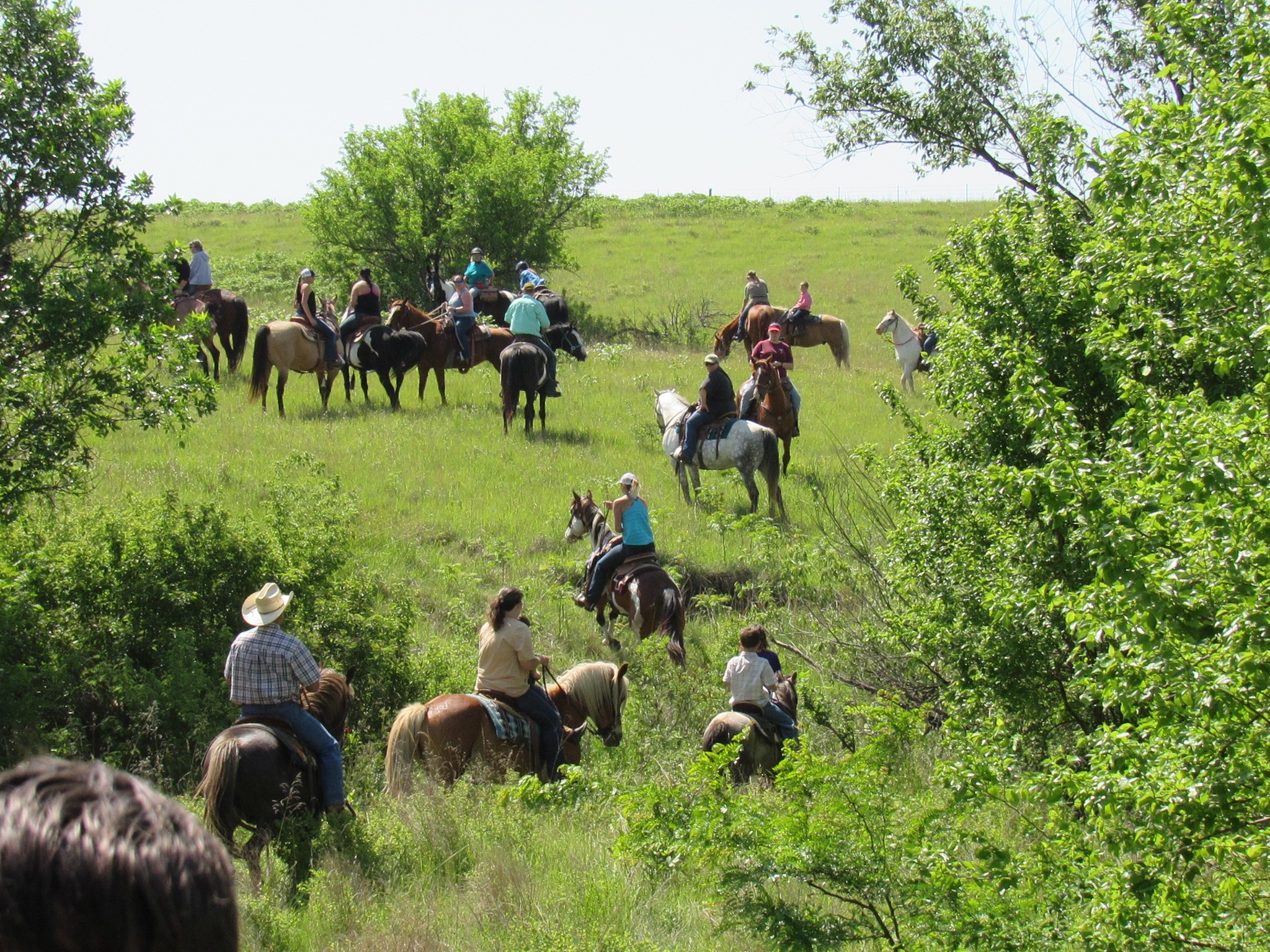 Rocking R Ranch LLC | Wamego KS