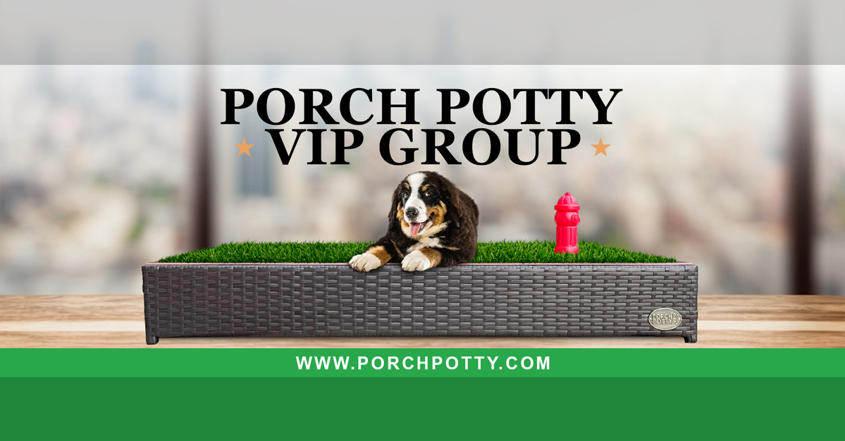 Porch Potty Exclusive VIP GROUP! | Facebook