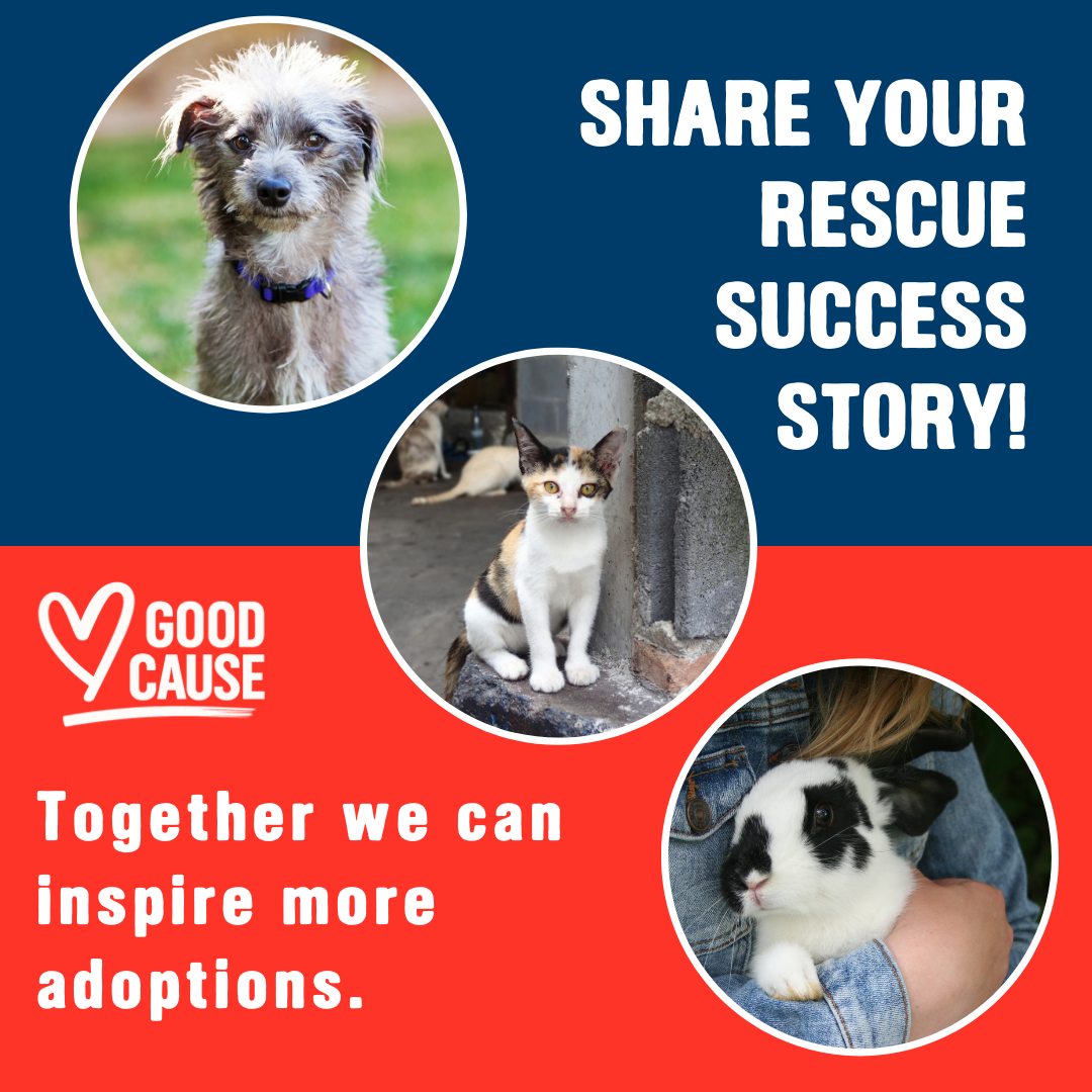 Good Cause - 🐾 Share Your Rescue Success Story! 🐾 Have... | Facebook