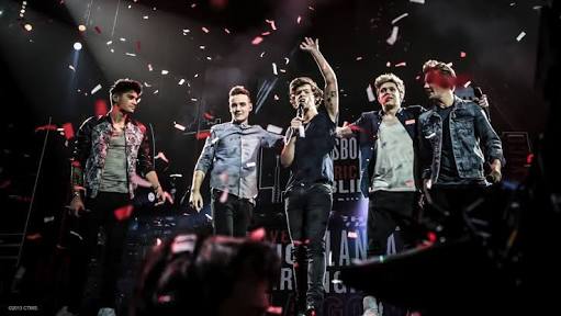 One Direction Infection