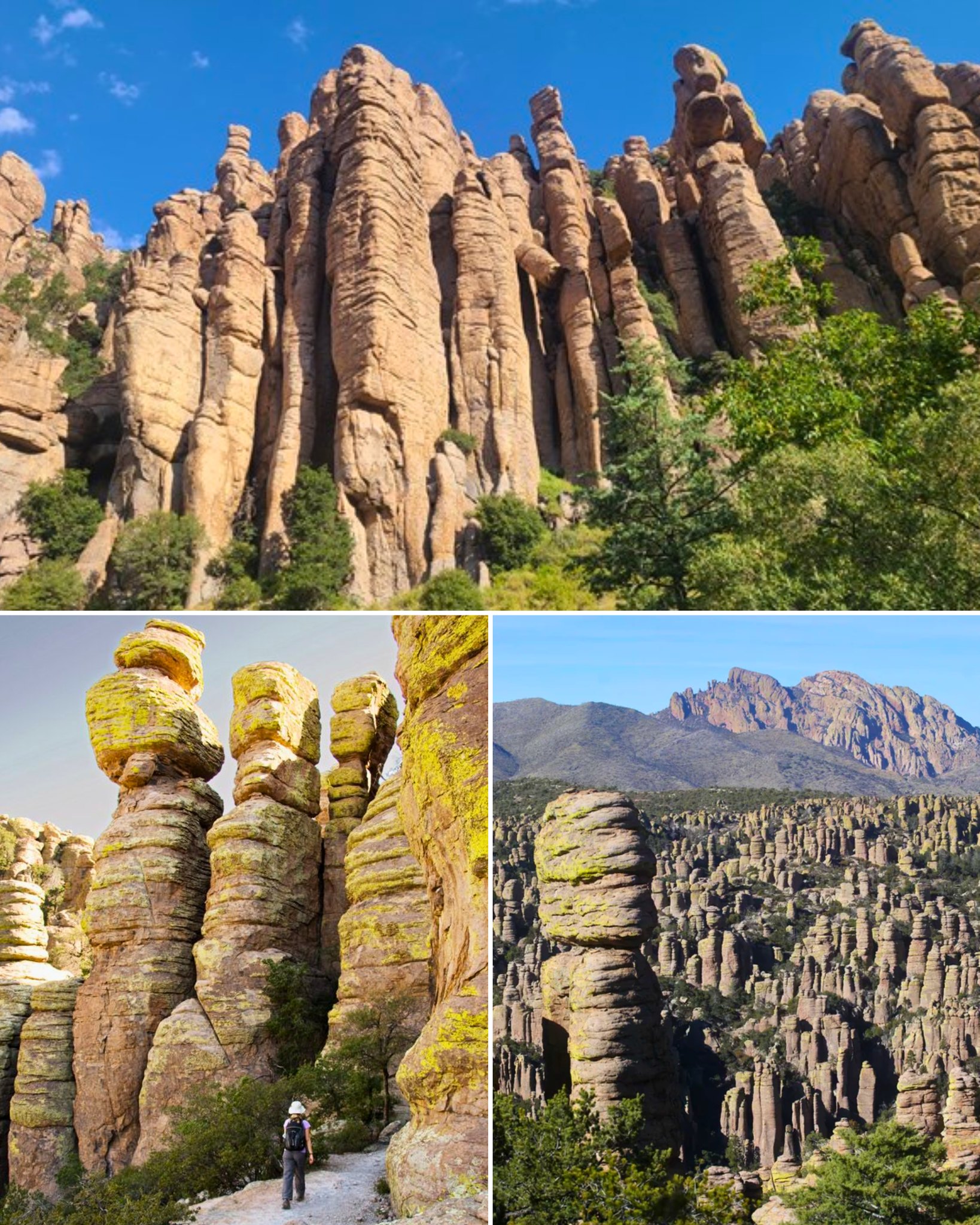 The Wonderland of Rocks