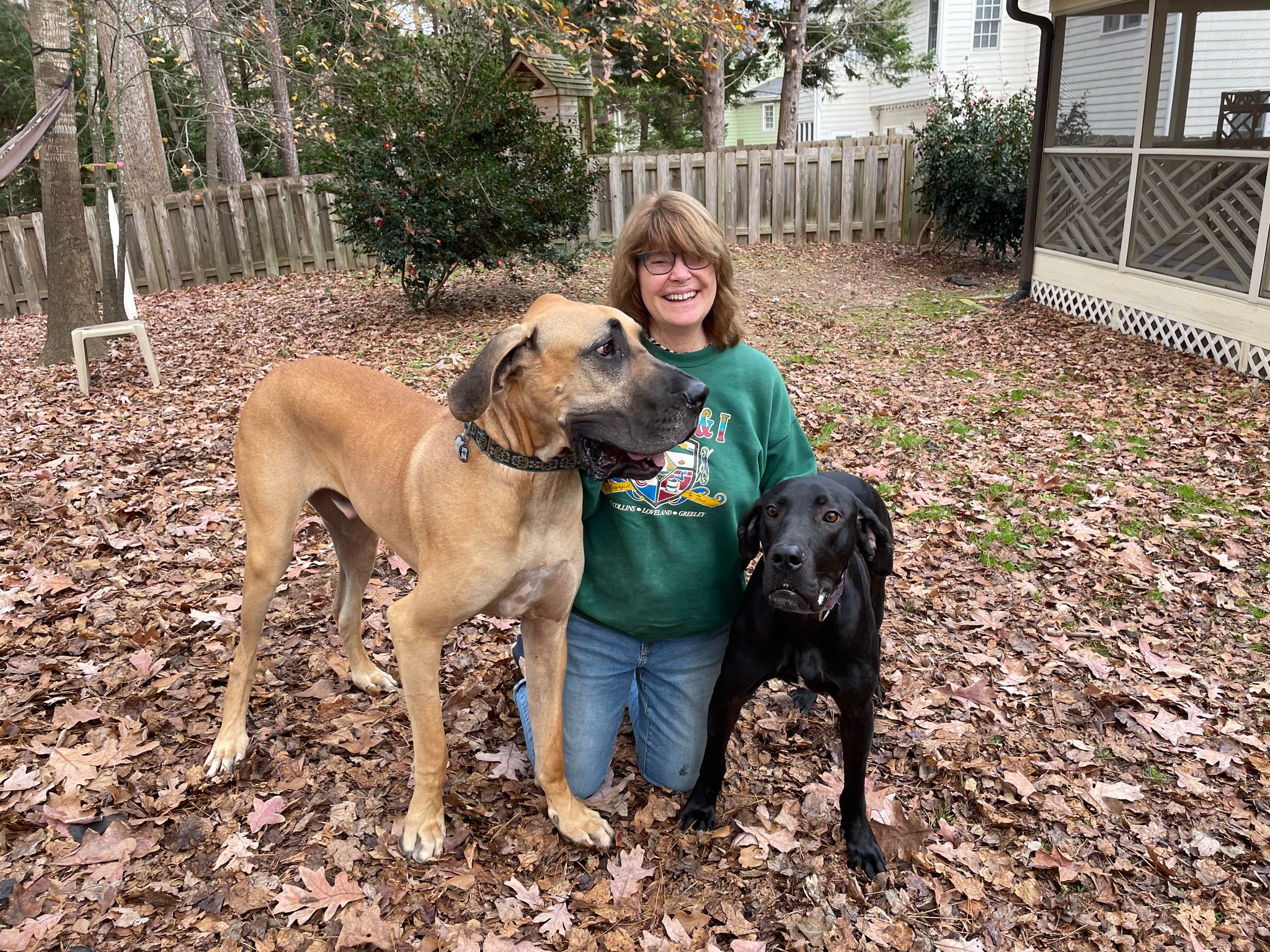 Our Sweet Grace was... - Great Dane Friends of Ruff Love