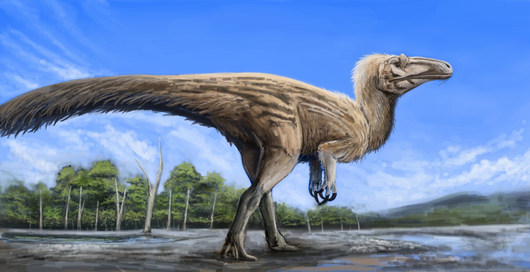 The Paleo Page - Timimus hermani a coelurosaurian theropod... | Facebook