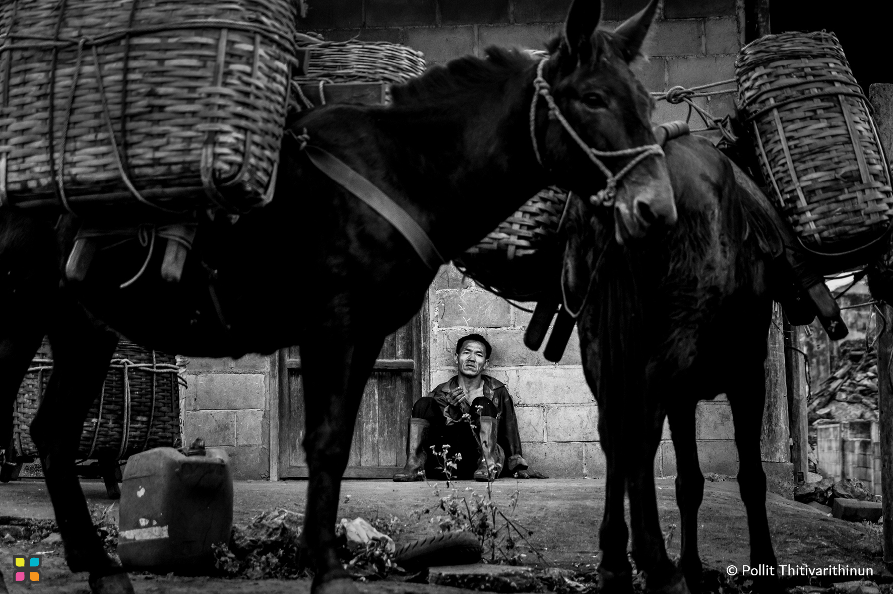 HIPA - Photo of the Day Photo by: Pollit... | Facebook