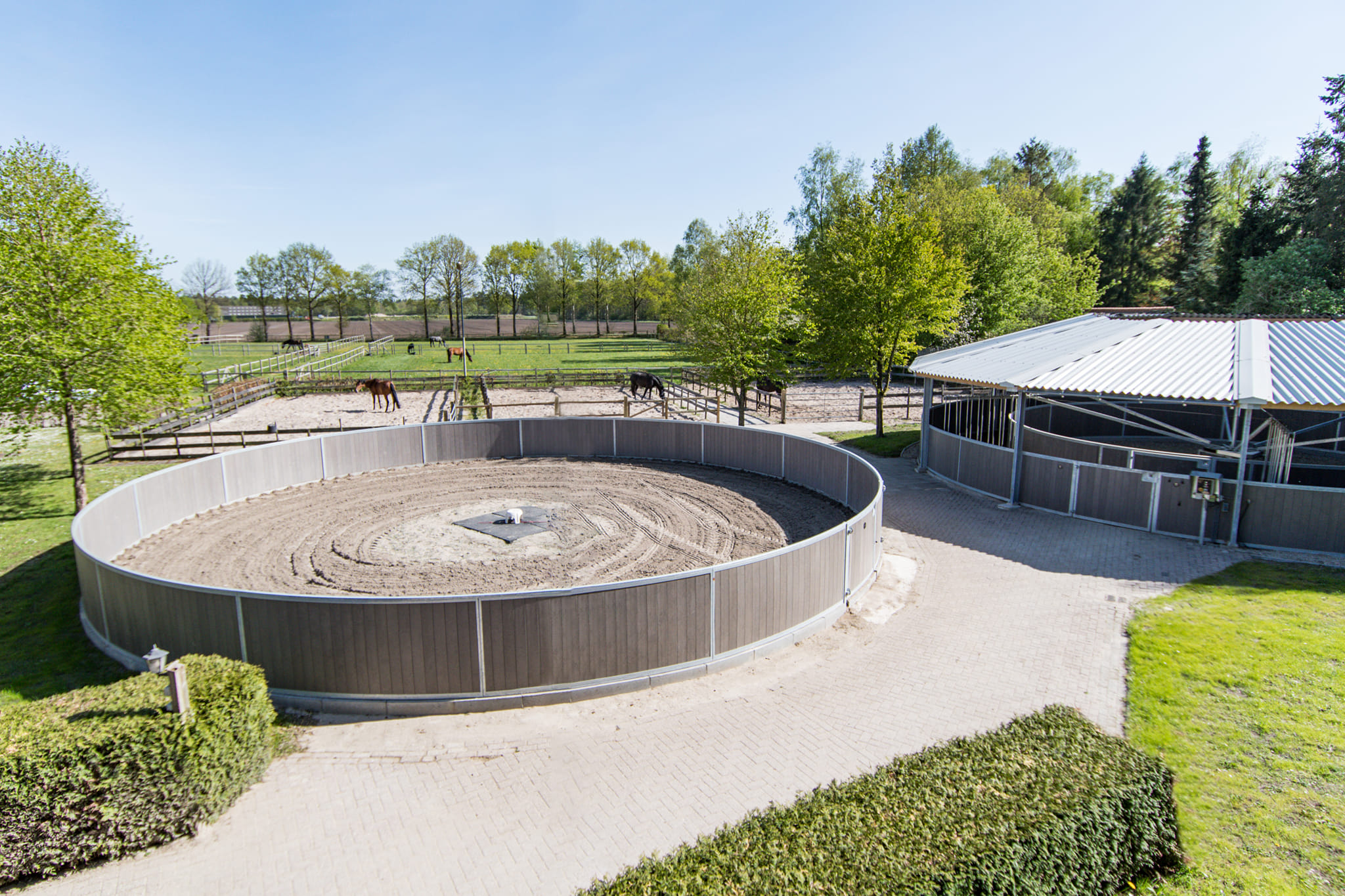 Auke de Jong Stables added a new photo. - Auke de Jong Stables