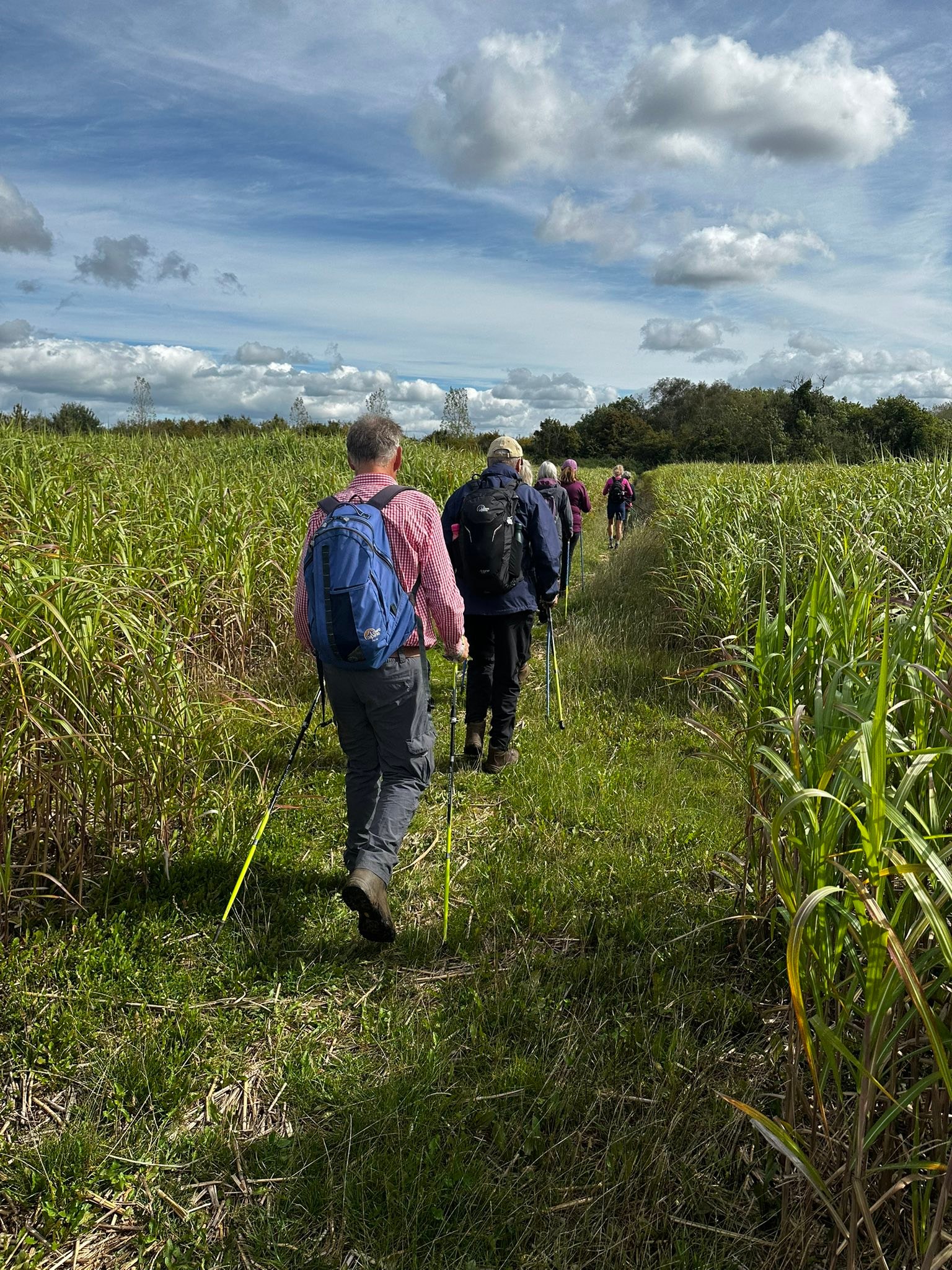 Go Nordic Walking - North Wiltshire