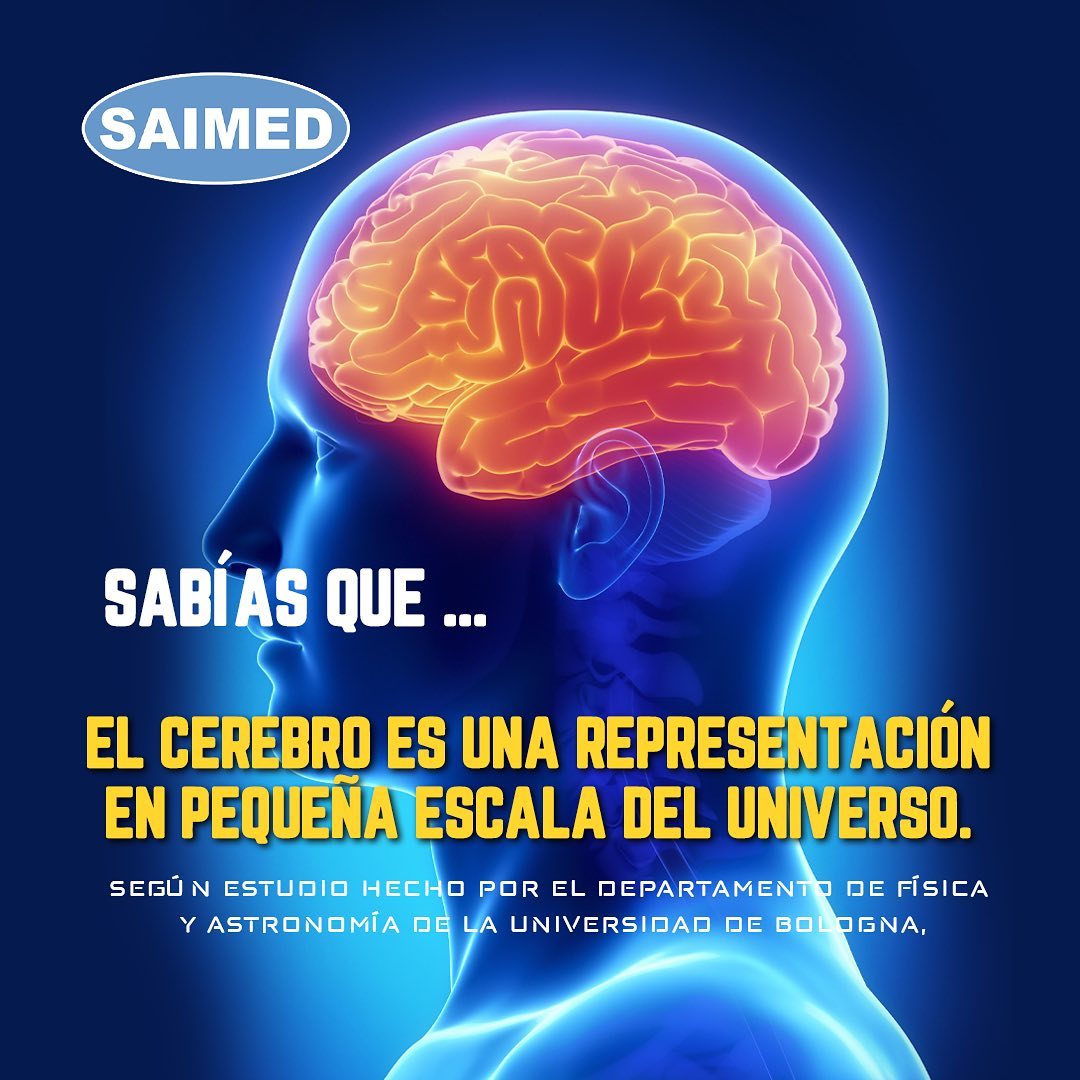 El cerebro humano es el objeto... - Drogueria Saimed SA de CV | Facebook