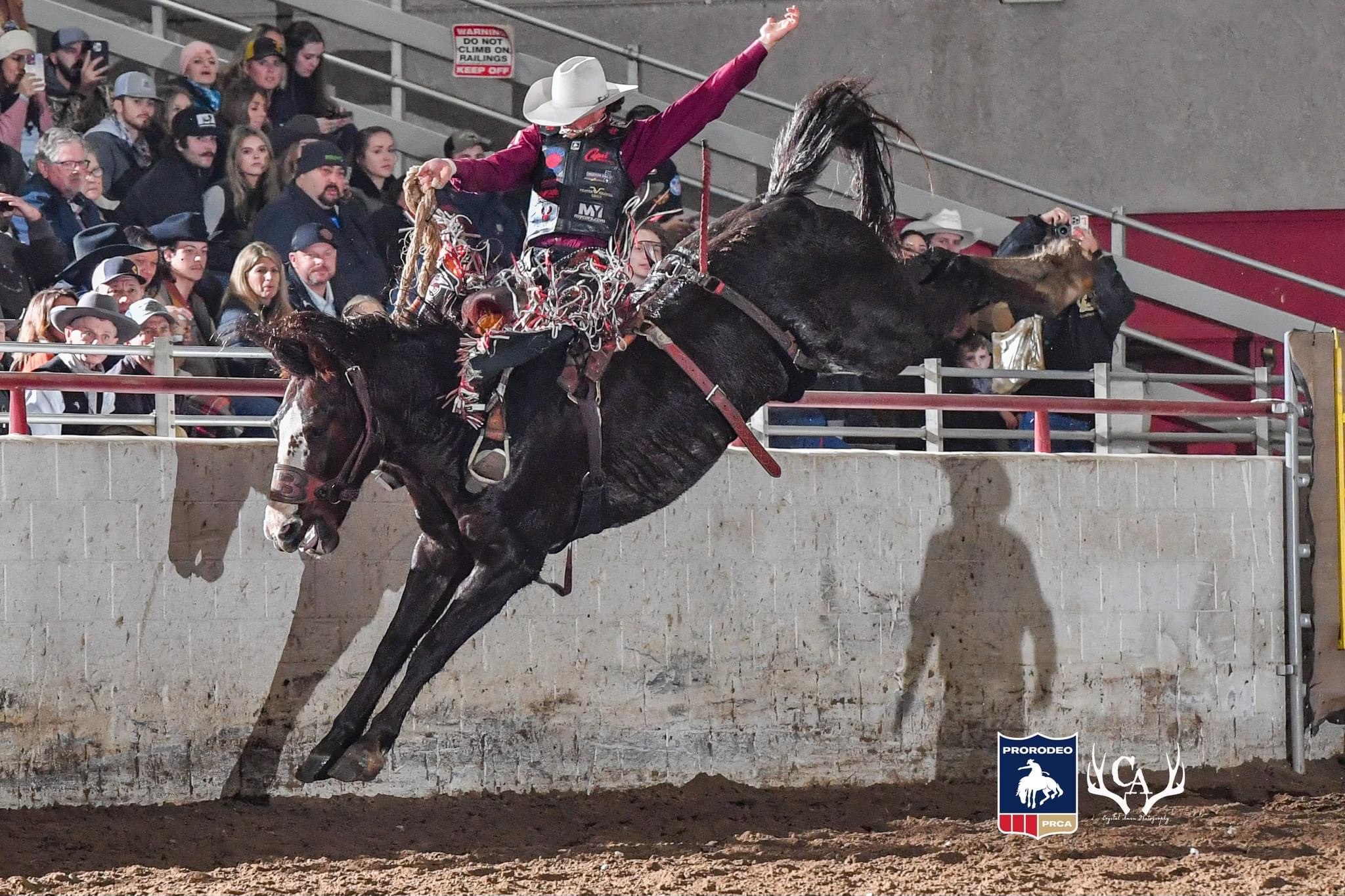Red - Your Round 1 Saddle Bronc Leader Lefty Holman with perfect form ...