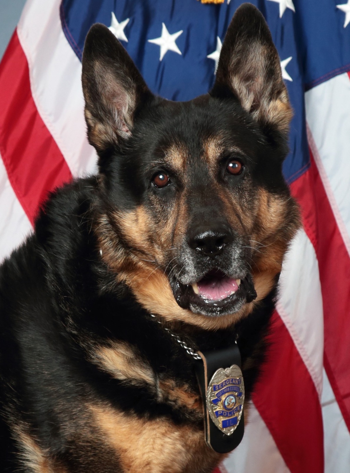 Our sympathies go out to... - Des Plaines Police Department | Facebook