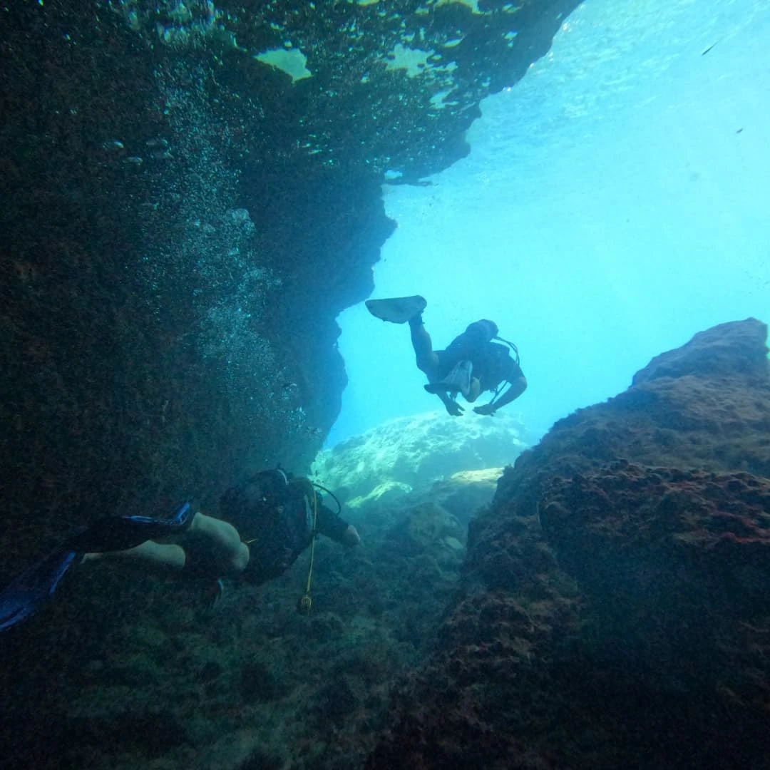 Creta - School of yellow amberjacks, Boat dive at Amphora reef ...