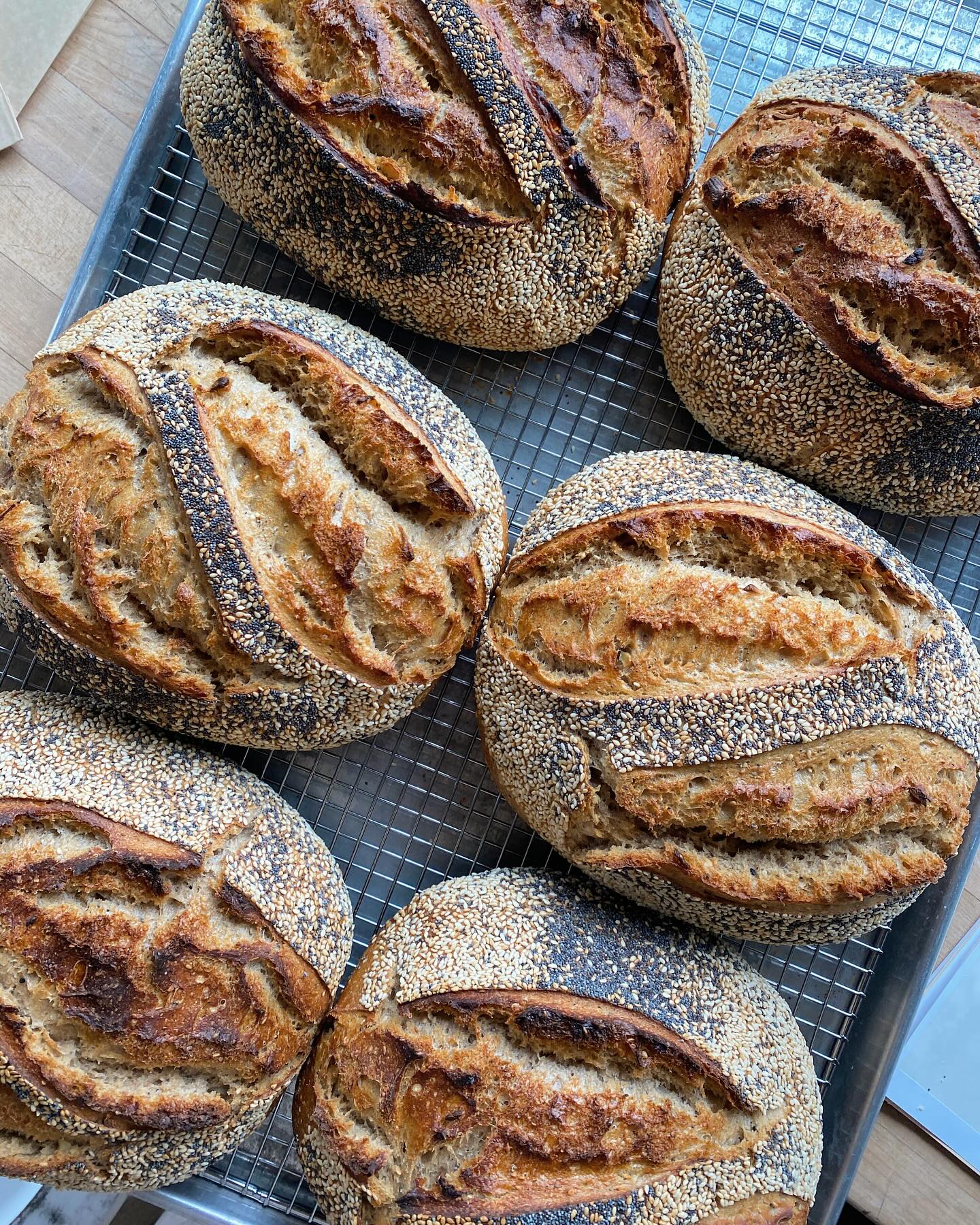 Lumi Baking Co