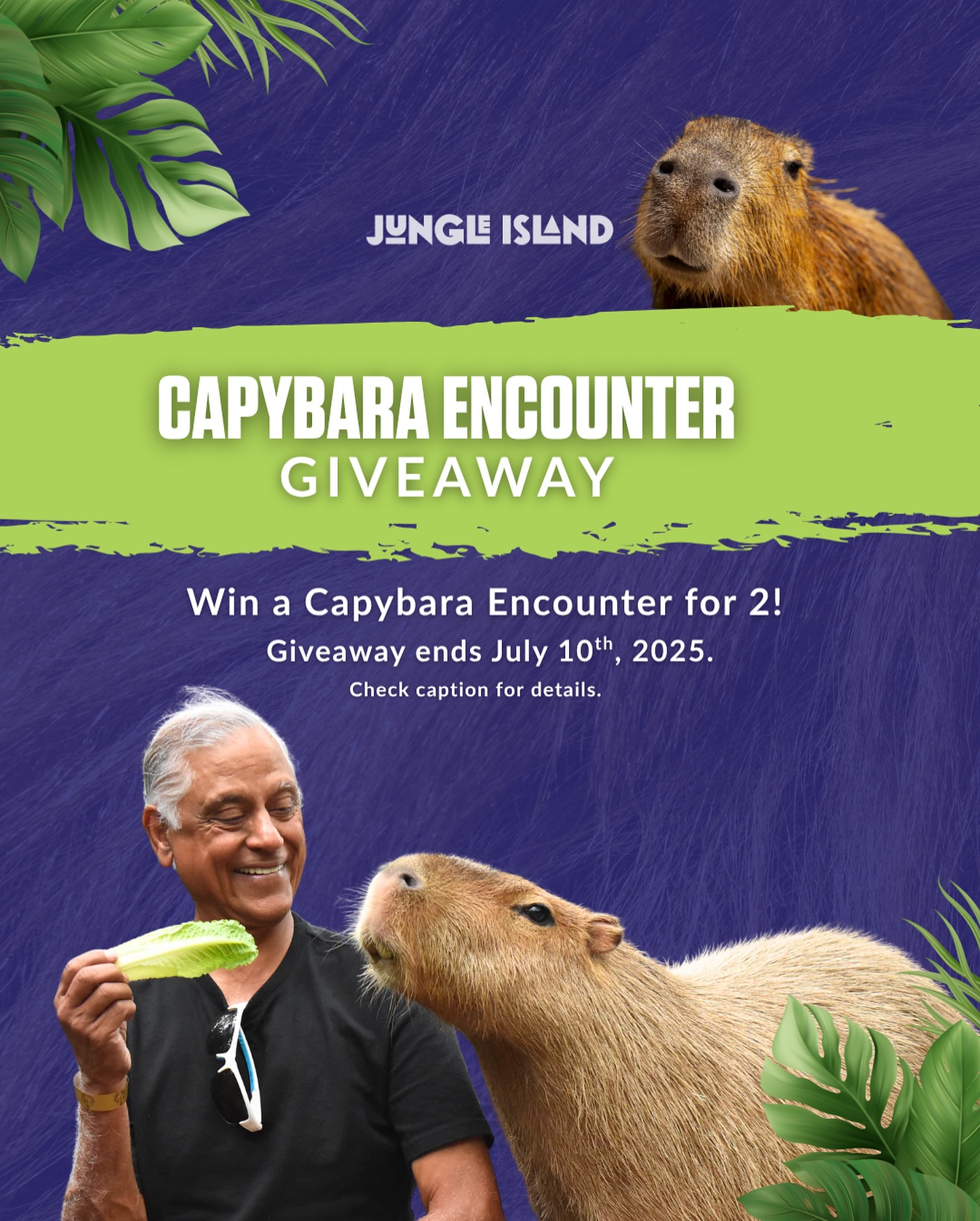 Jungle Island - We’re kicking off National Capybara Day... | Facebook