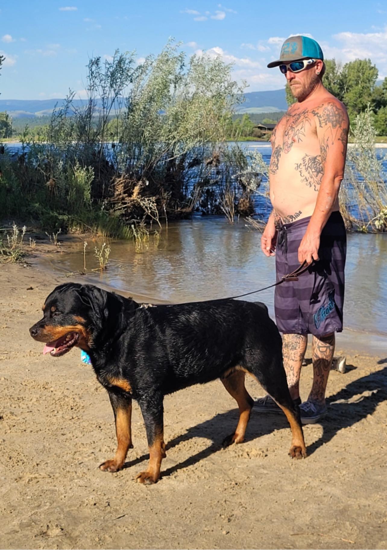 Vom Schwarzen Donner Rottweilers
