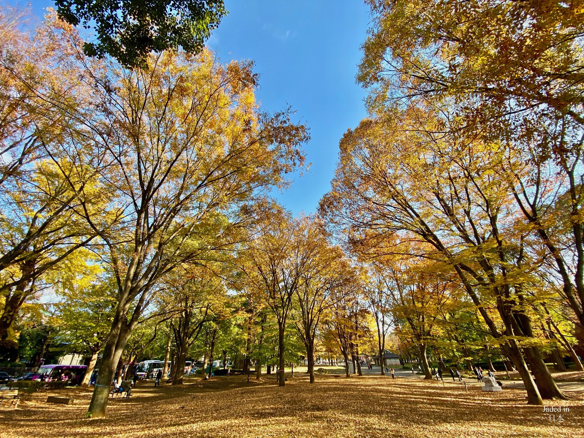 Early December in Ueno Park (上野公園) in the historic Ueno
