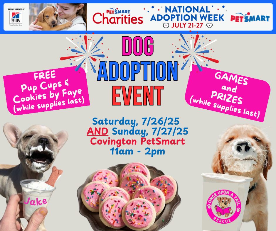 ADOPTION EVENT - NATIONAL ADOPTION WEEK!