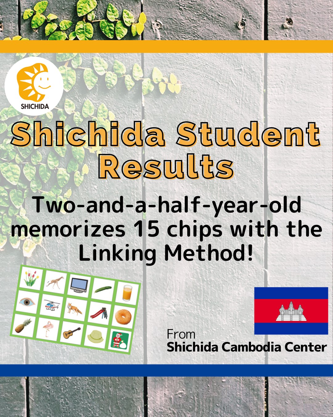 Shichida Educational Institute International